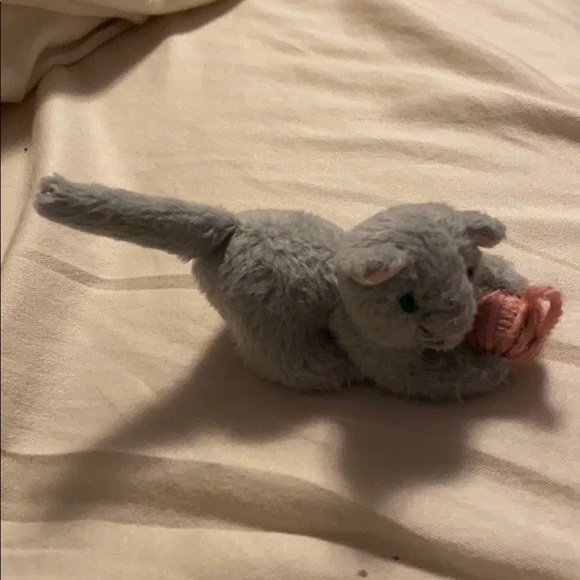 american girl kitten